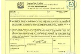 成都无犯罪记录翻译公司